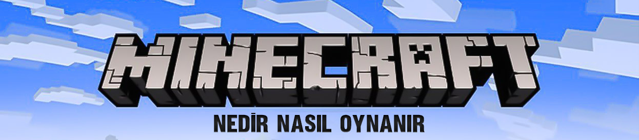 Minecraft Nedir? Nasıl Oynanır?
